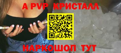 соль ск Бердск