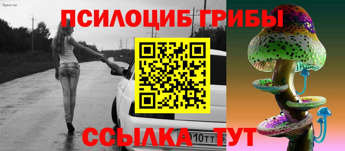 Гудермес  Галлюциногенные грибы Psilocybe  Вход с VPN  Псилоцибиновые грибы GOLDEN TEACHER 